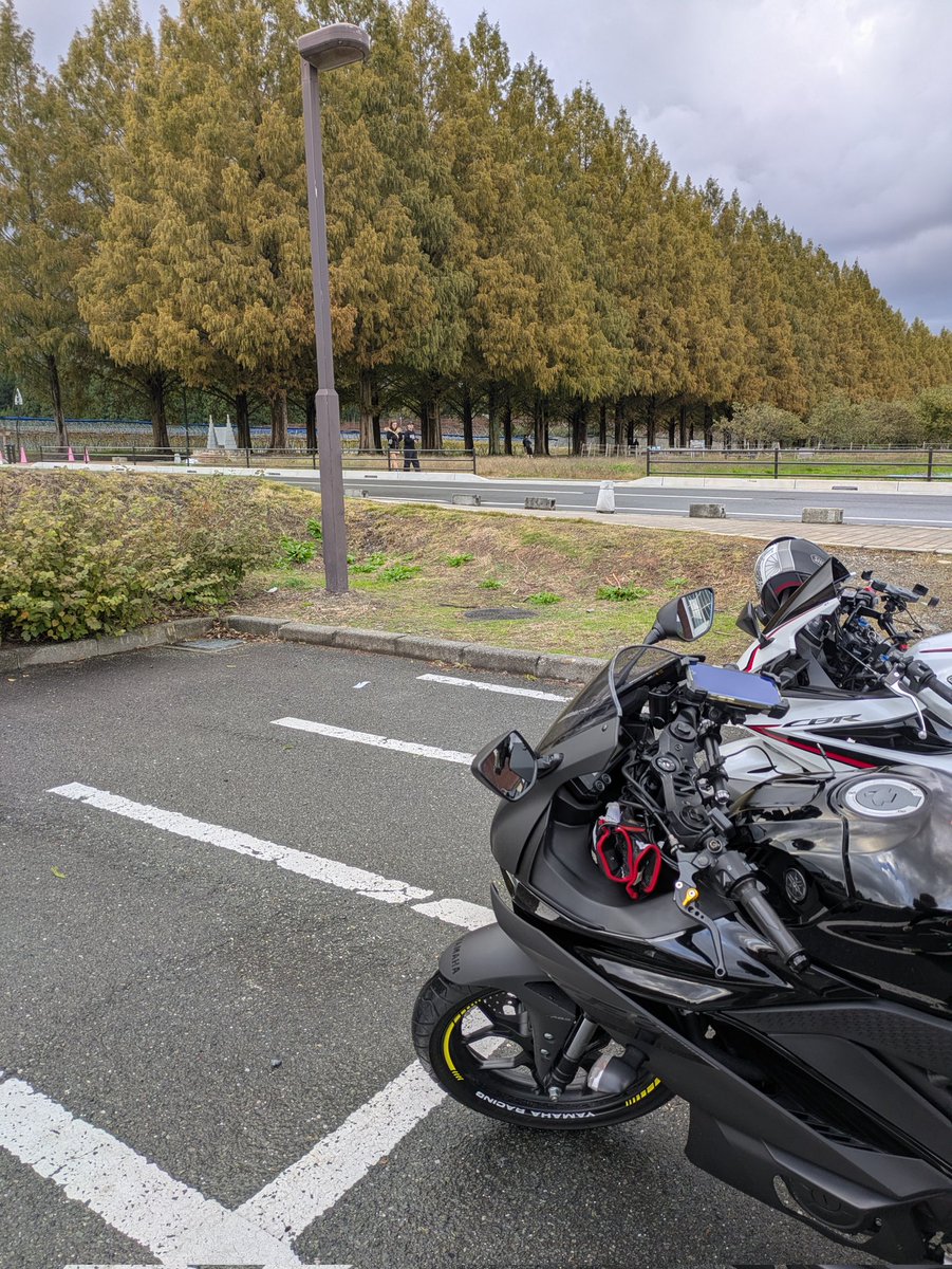 cubaka_zngr's tweet image. メタセコイヤ並木はじめてきた。
今日は中型ツーリング🤙