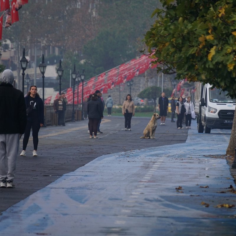 10 Kasım |  Saat 09.05 Türkiye'de bugün.