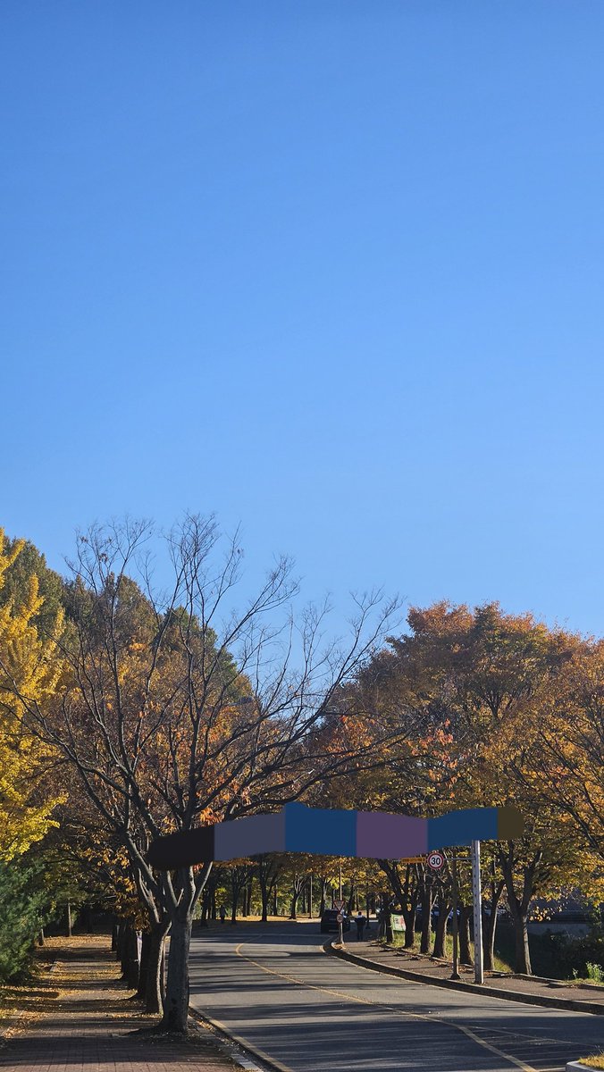 오늘 하늘 파아란게 너무 이쁘다