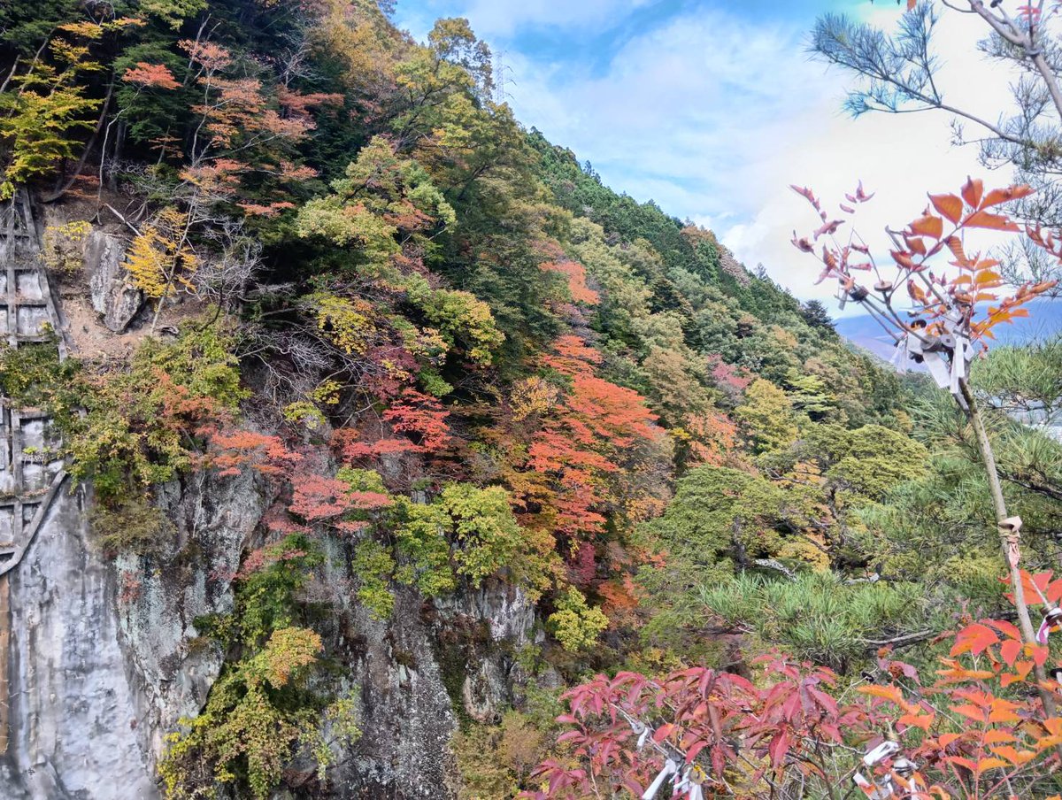 シェリーメイ・ダッフィーLOVE❤️ on X