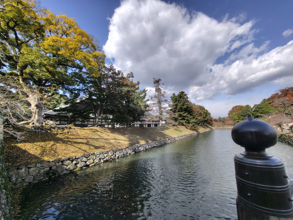 ぽむページ ぽむページ ぽむ (@xixpomxix) / Posts / X