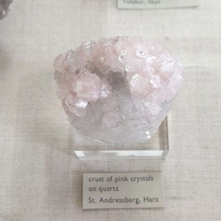 anzu (@anzurok) on Twitter photo 