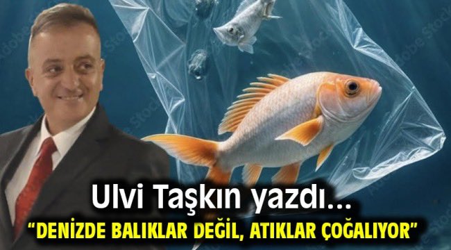 “Denizde Balıklar Değil, Atıklar Çoğalıyor” yerelgozcu.com.tr/denizde-balikl…