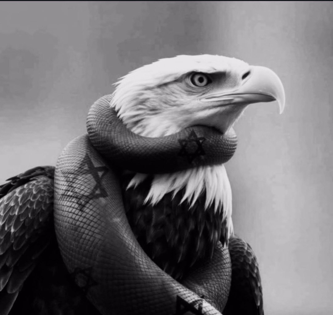 The jews have NO place on the Right!

Period. Full stop.

Whether you're America First, Christian Nationalist, MAGA, conservative, right-wing, or pro-White—it doesn't matter: jews have betrayed you or they will!

Every single time.

No jews! No exceptions!

Follow <a href="/Classicist9999/">Classicist. ✝️</a>