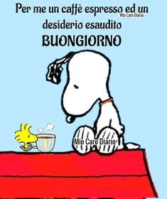 Buon lunedì a tutti 😊