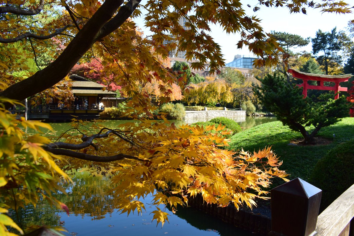 Brooklyn Botanic Garden Nov 8 in Autumn splendor