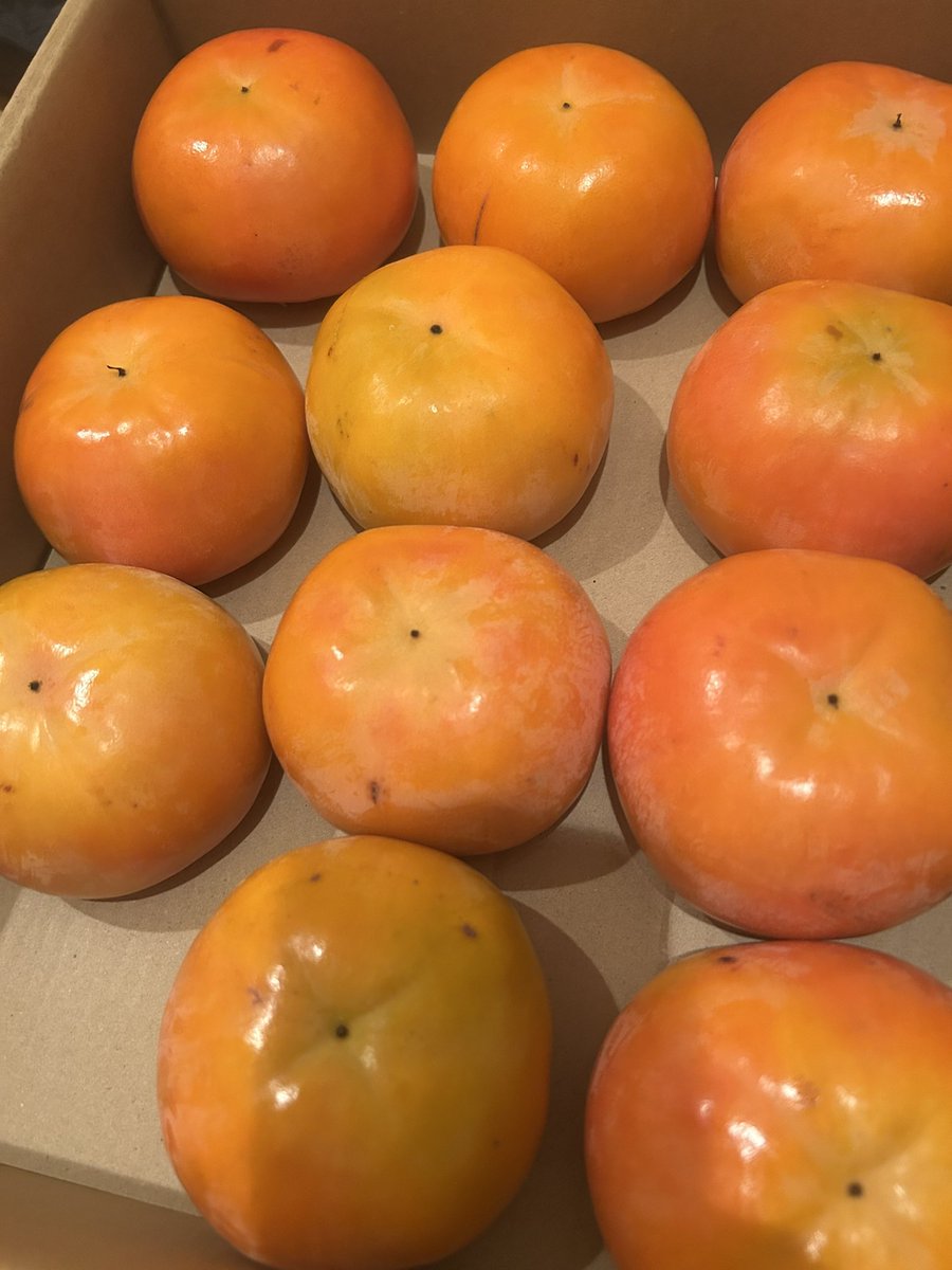 Retro_Marie777's tweet photo. 今年も実家の庭で採れた蜜柑🍊と
田舎の西吉野の柿が届きました🤩

私には、ひとつずつ輝いて見えます笑

#感謝 #贈り物 https://t.co/LIs56caIQp
