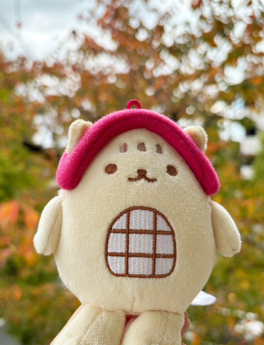 yumeruri's tweet image. 秋のお散歩🍁 #くにニャン