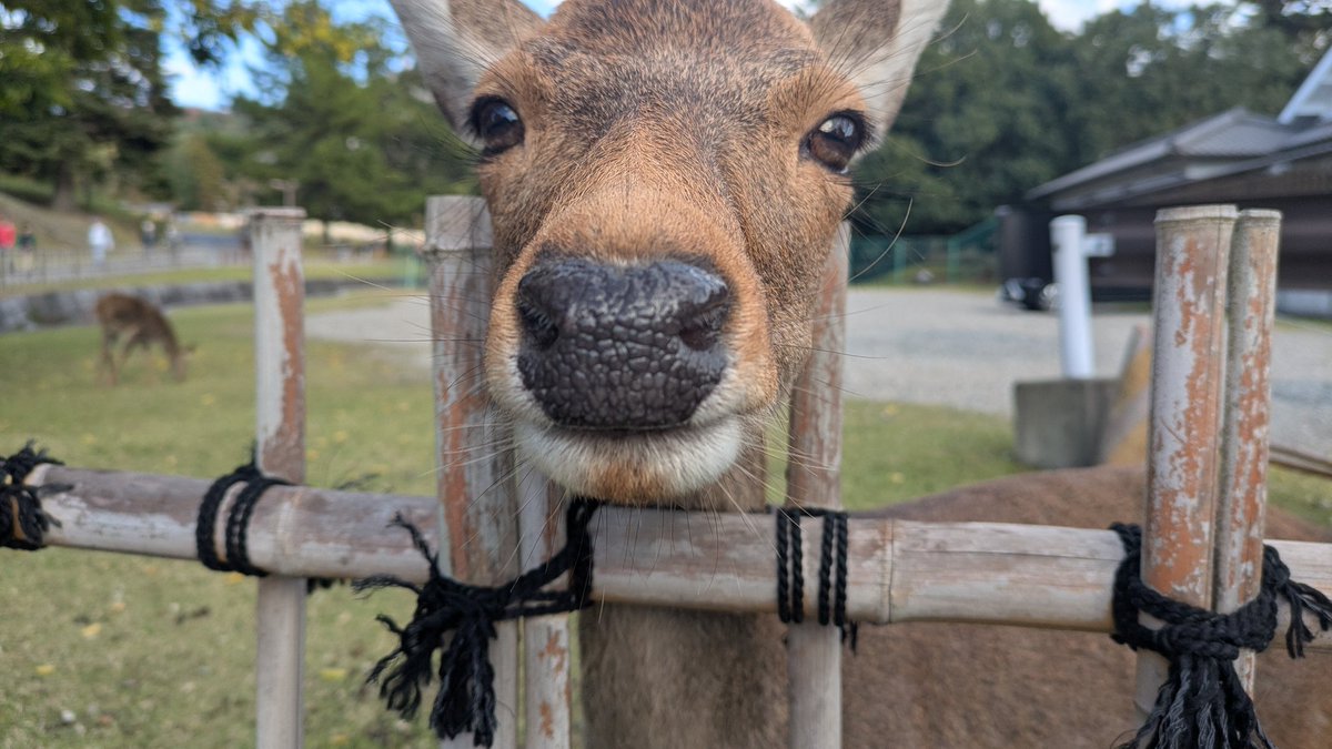 誰だなーZ1号 on X