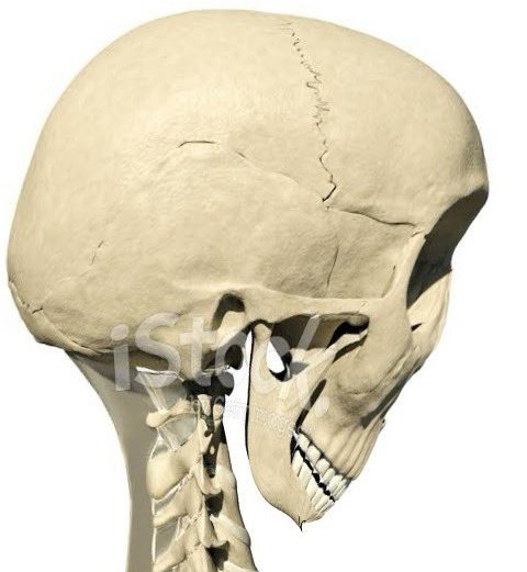 UDAAAAH BANG😭😭😭🫸🏻🫸🏻🫸🏻
UDAAAAH BANG😭😭😭🫸🏻🫸🏻🫸🏻
UDAAAAH BANG😭😭😭🫸🏻🫸🏻🫸🏻
UDAAAAH BANG😭😭😭🫸🏻🫸🏻🫸🏻