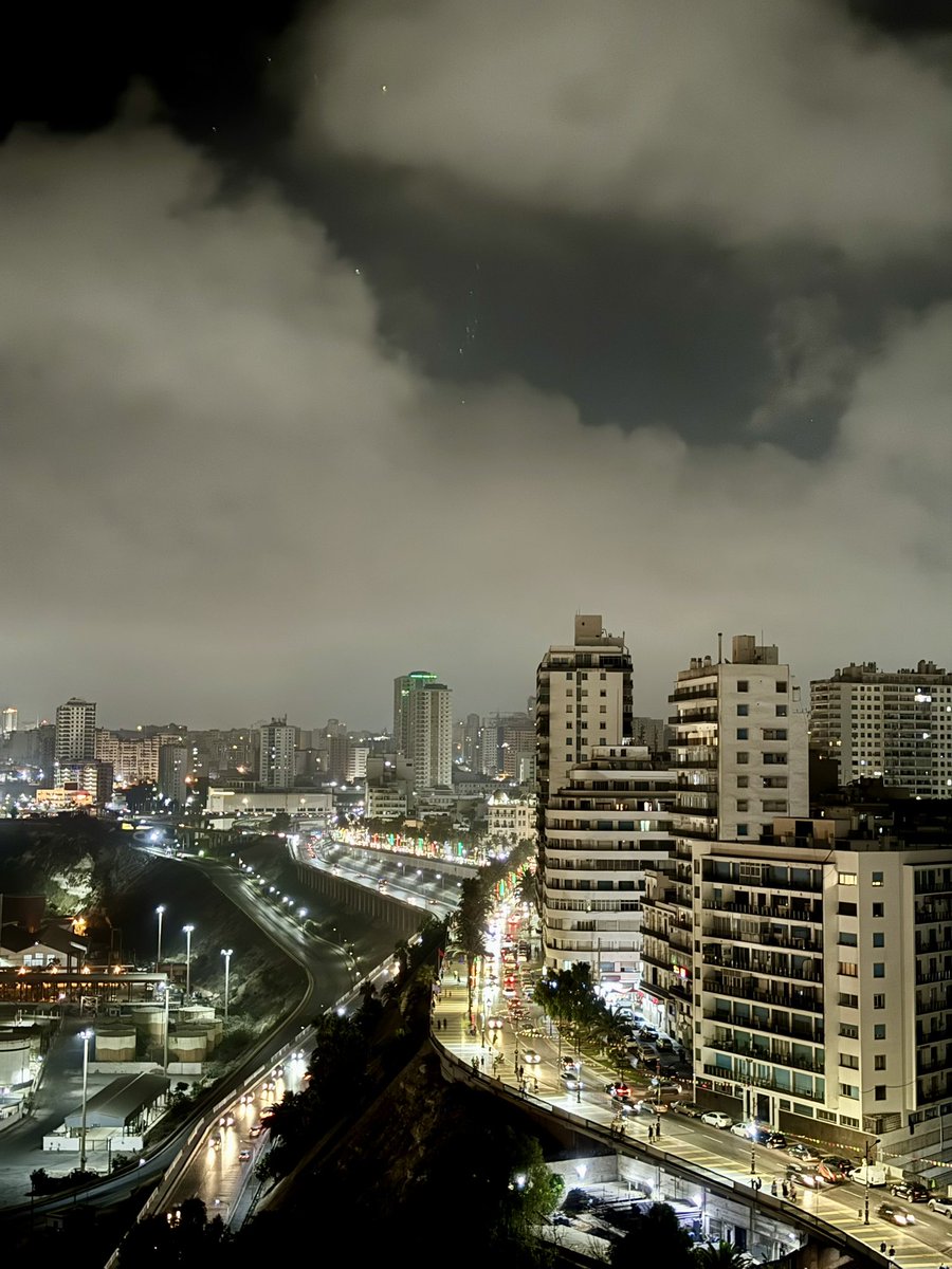 MZ’🦉 tweet media