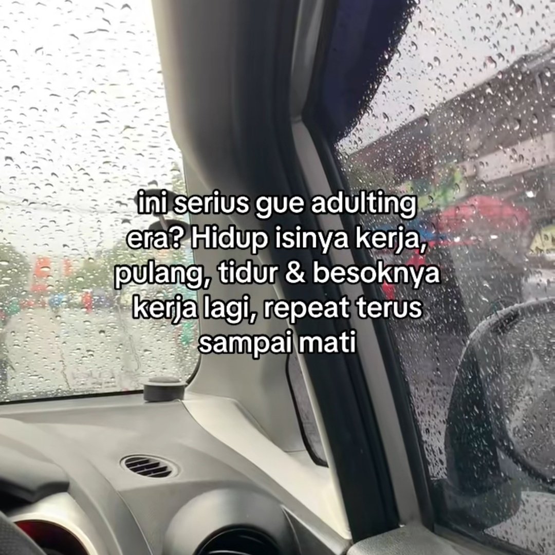 poconxg's tweet image. 