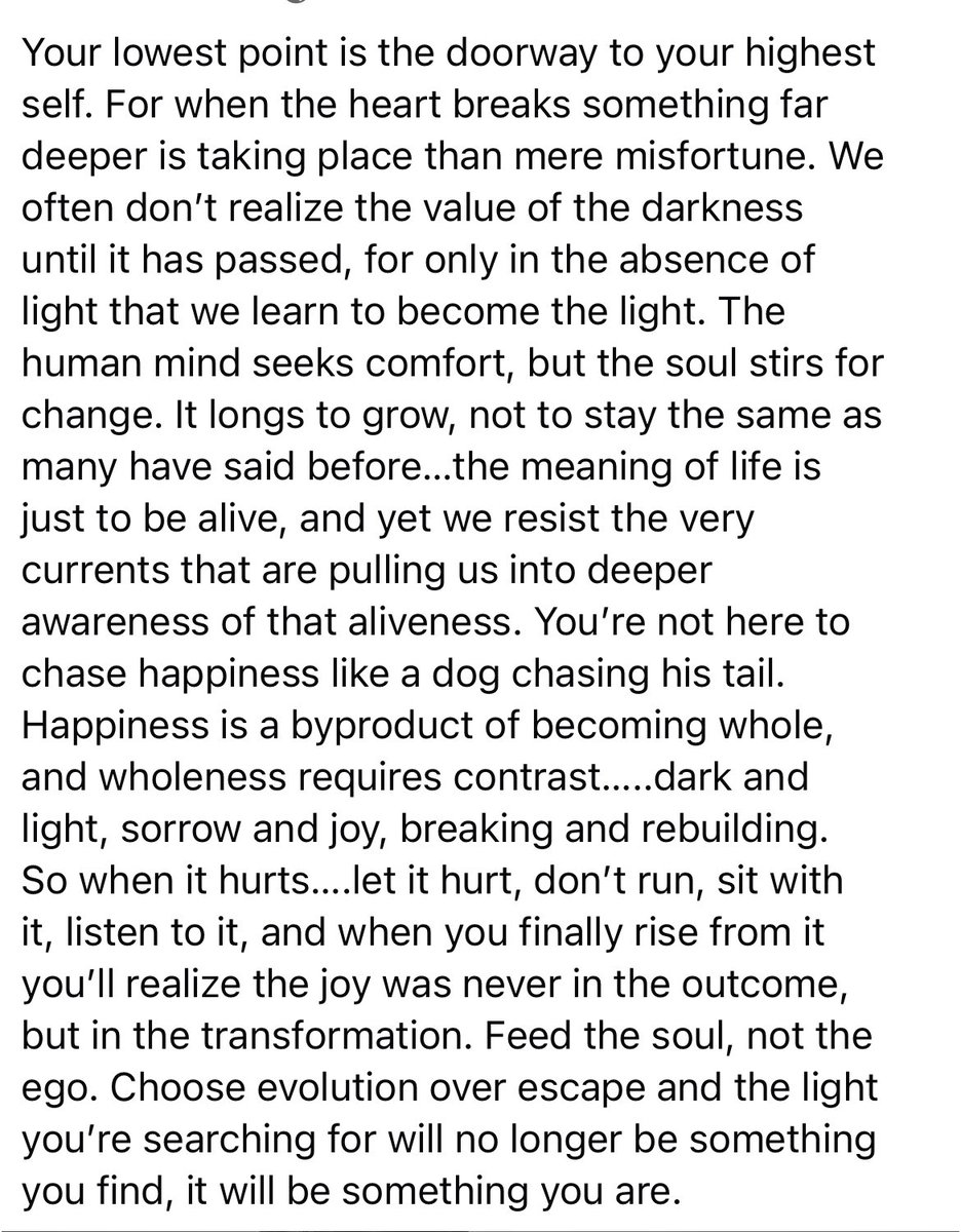 SantiagoAuFund's tweet image. “You’re not here to chase happiness like a dog chasing its tail.  So when it hurts…let it hurt.”
Allan Watts