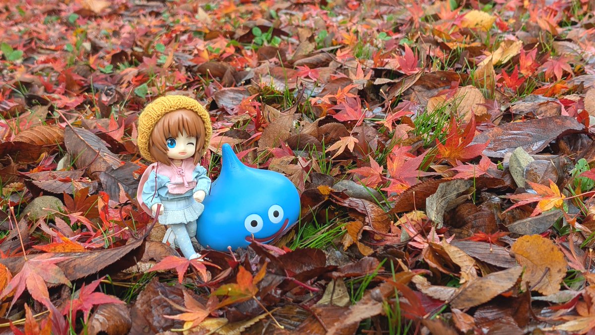 りんごちゃん🍎 on X