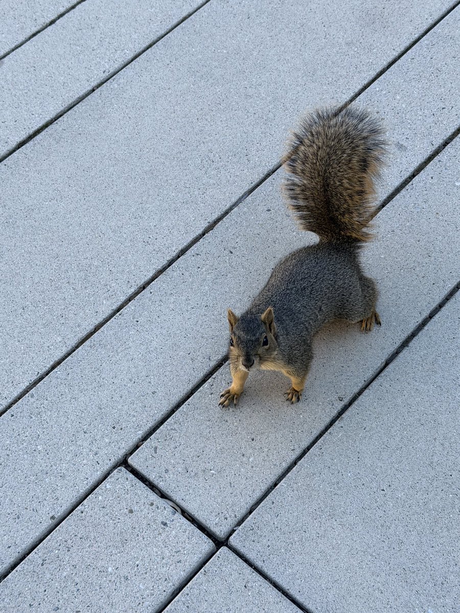 troll_bot_i_am's tweet image. big bag theory Sheldon的母校
#caltech #pasadena #bigbangtheory