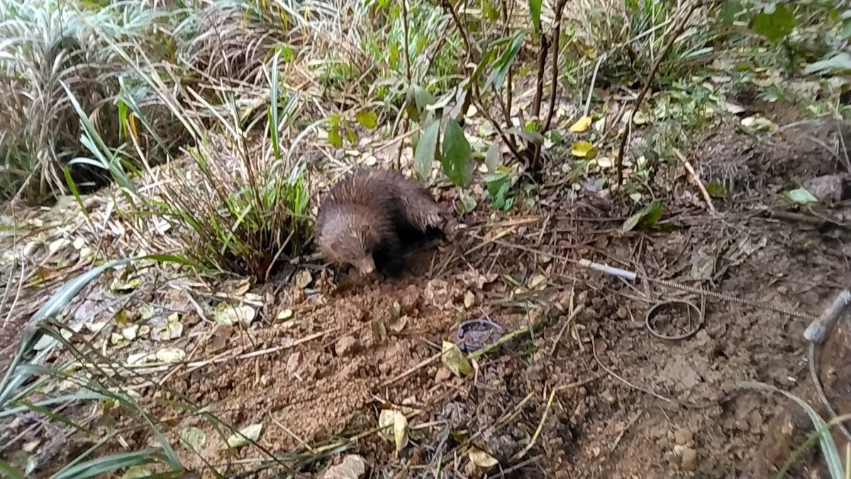 またかかってて草

しかも同じところ