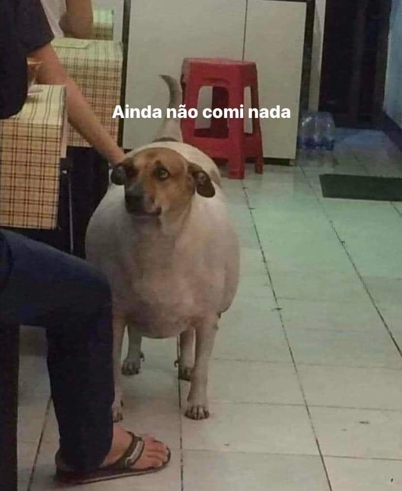 rhinedotir_gold's tweet photo. Queria ver todas as pirocas do mundo apenas por curiosidade e admiração do masculino humano https://t.co/XHoAmNZtiK