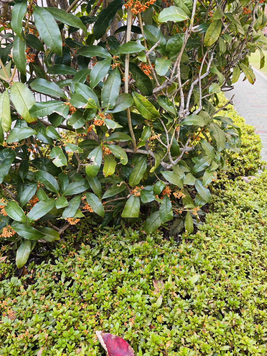 アートアンドクラフト on X