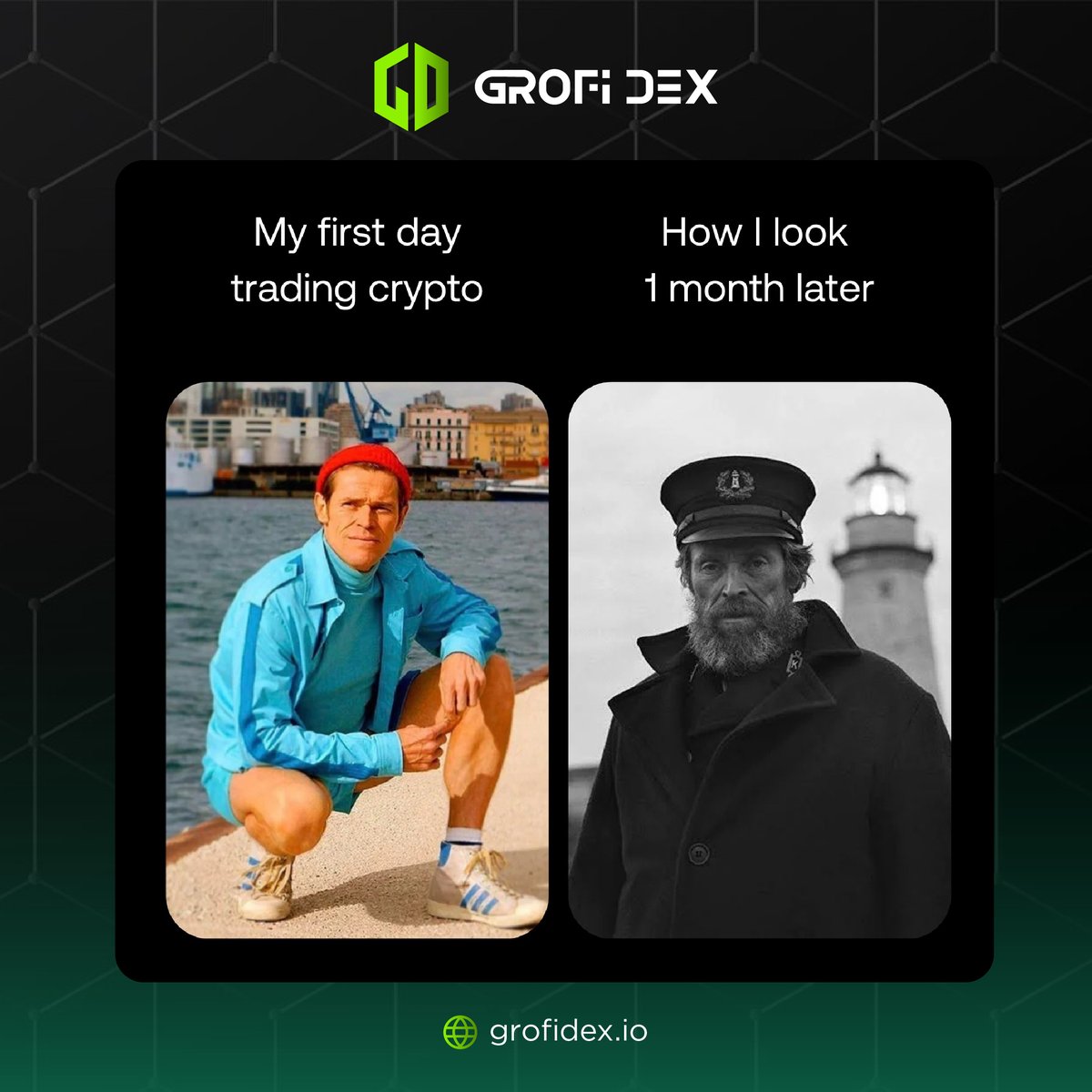 GroFi Dex tweet media