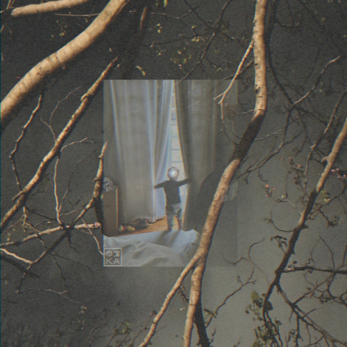 Kelcey Ayer tweet media