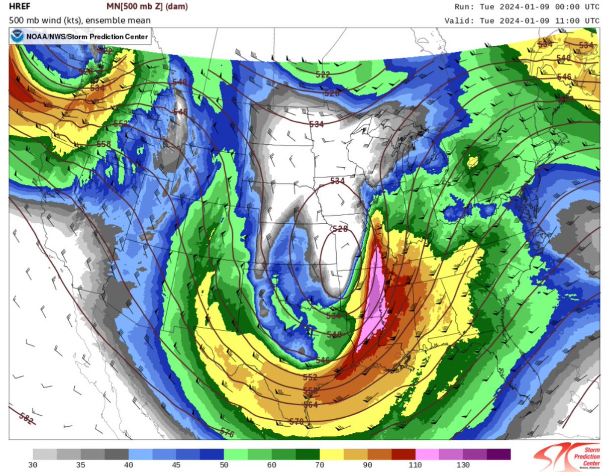 Stephen Cross tweet media