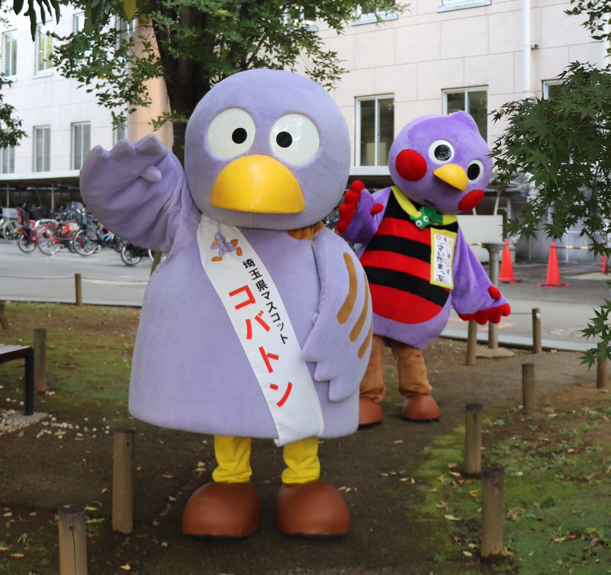 ゆ⃝み⃝こ⃝ (@323ymco) / Posts / X