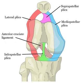 Medical Education tweet media