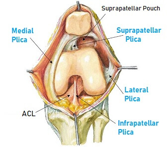 Medical Education tweet media