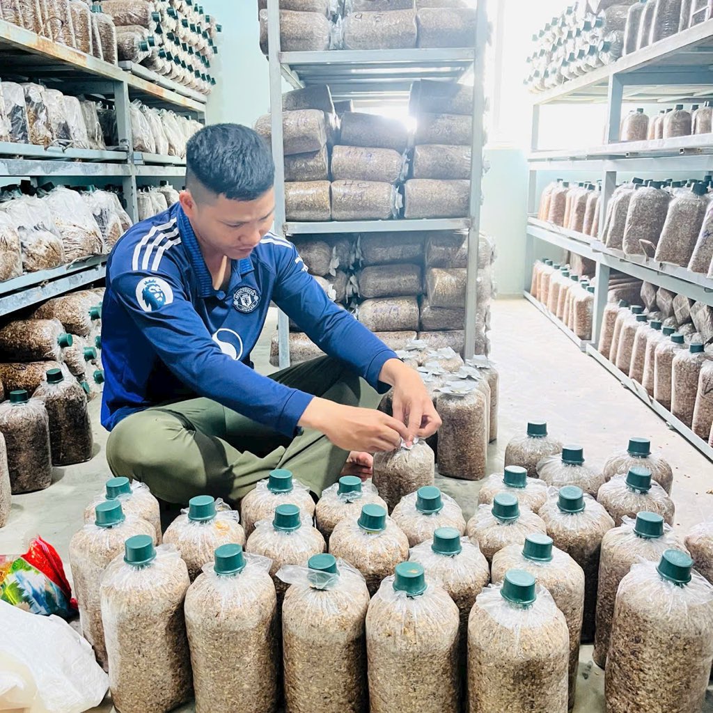 Đố cả nhà anh trai trong ảnh đang mần gì?
#TheMoshavFarm #AnbinestGold #ThongMoshav #Cagaileo #Linhchi