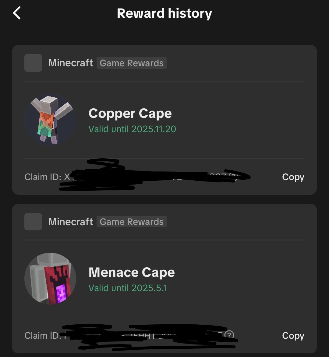 SpikeHellsing's tweet photo. Hey, @Minecraft @Mojang @Microsoft I redeemed these from tictok and still don't have access to either cape on java. What's going on? https://t.co/Kn3eabutfr