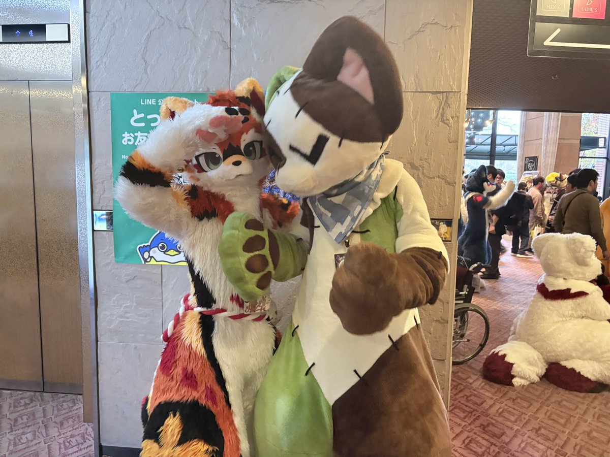 SuK20_tk's tweet image. 可愛いツーショット！
パッチくんと晴空くん！！