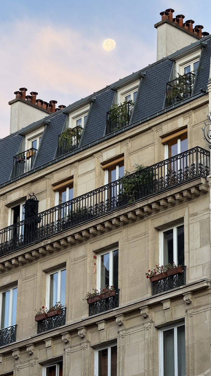 MosabWaer's tweet photo. Mi mejor foto en Paris 🇫🇷 https://t.co/NKFF9L9qEj