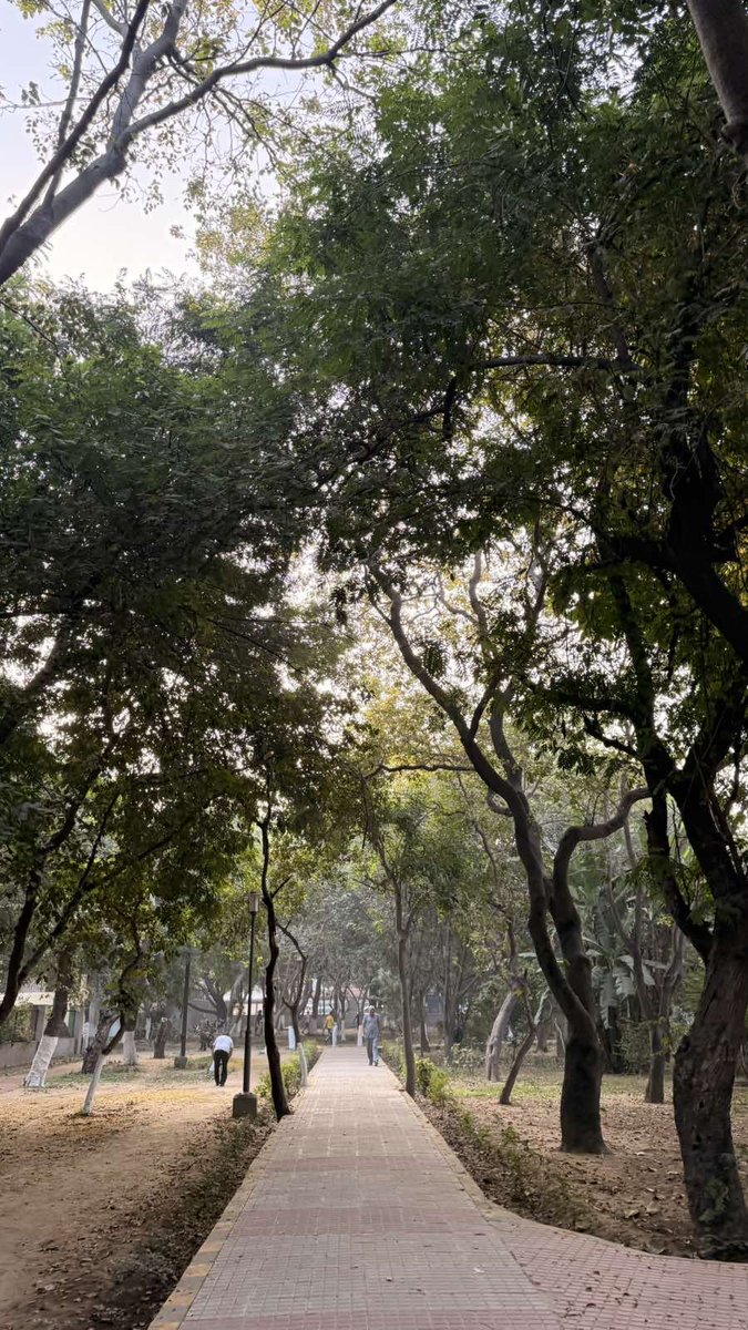 neha_basic's tweet image. Under the shadow of trees when the AQI is 322 in the morning! 

#Gurugram
