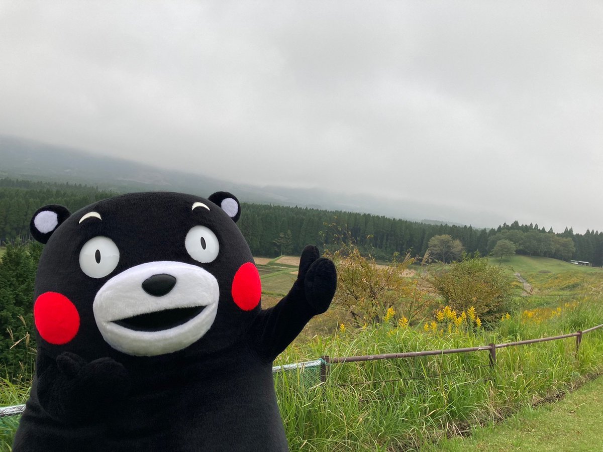 おはくま～！今日も1日よろしくま☆