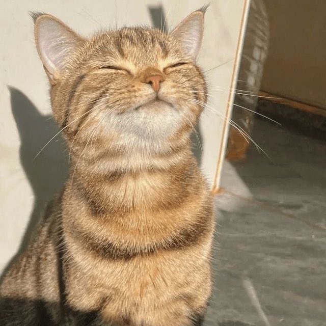 Udah senin lagi ajaaa😴

mana yang menggambarkan mood kamu hari ini?