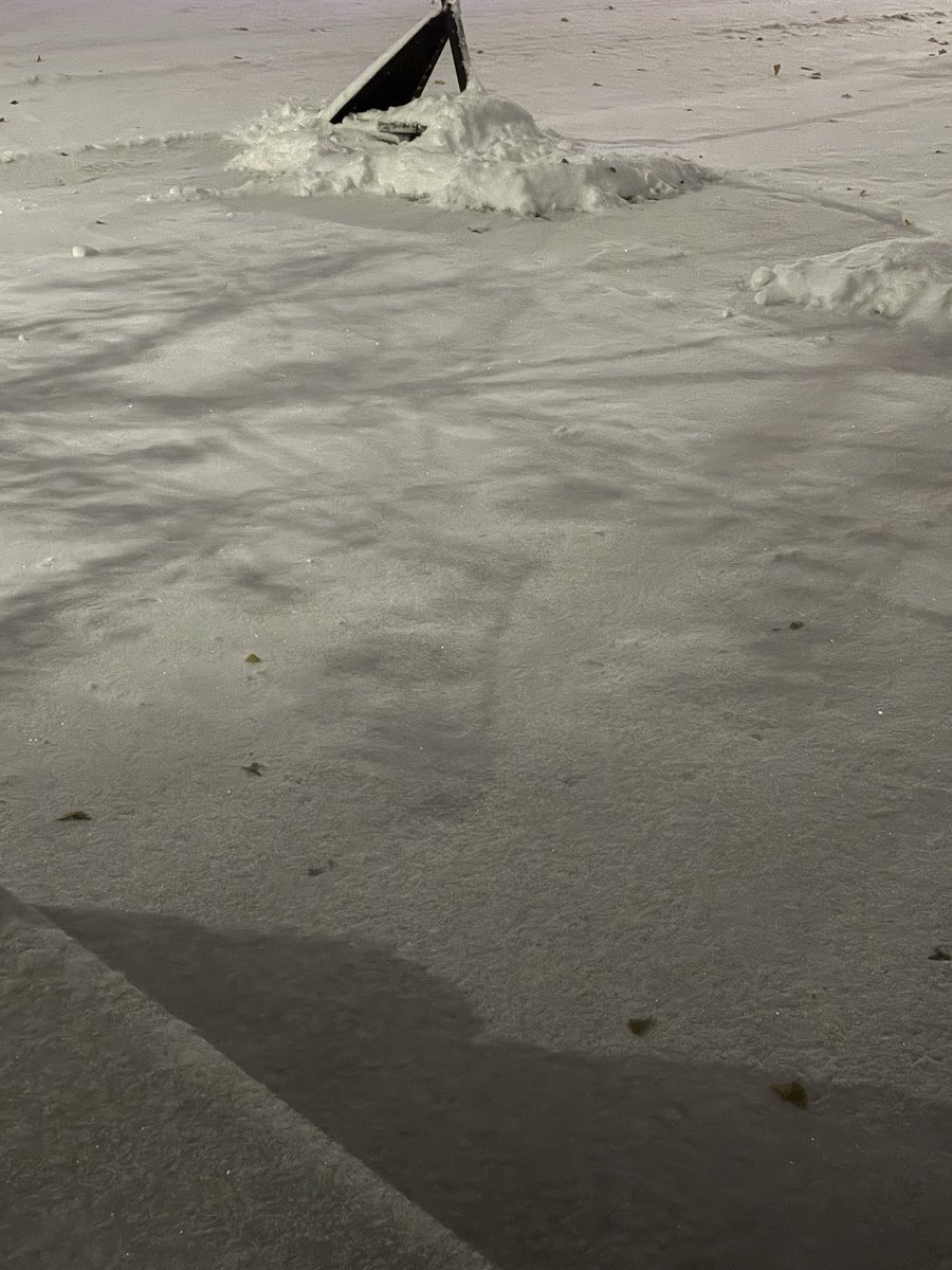 It’s starting to feel a lot like Christmas