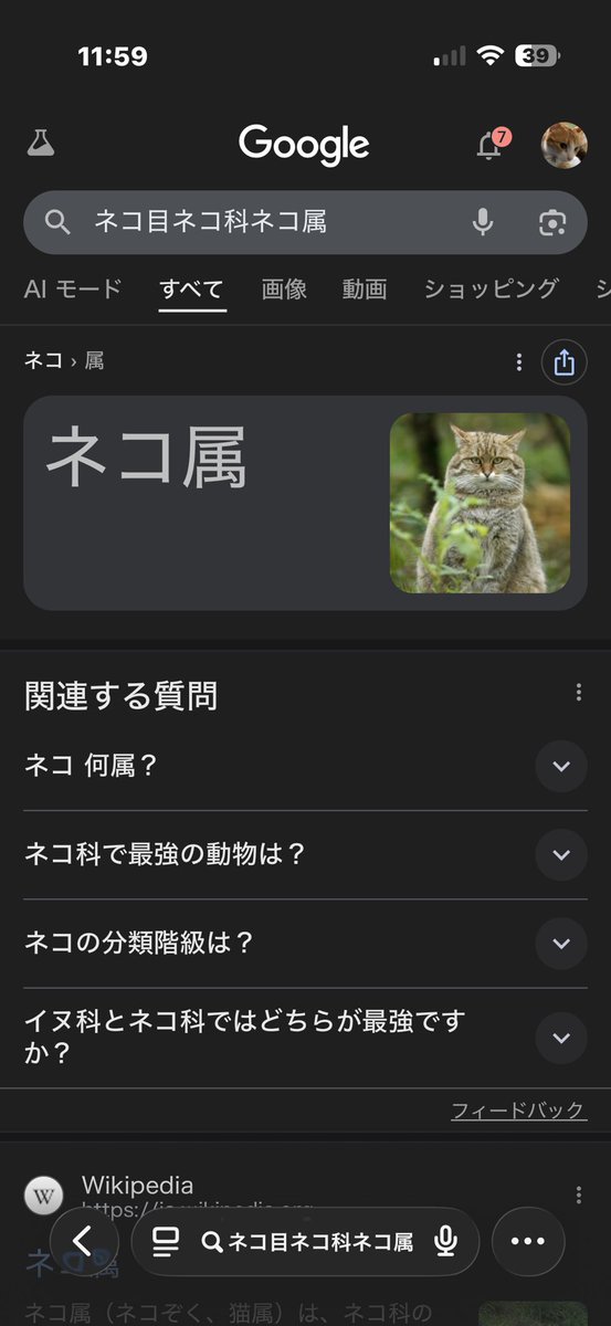 「雨凛」「吉太郎革道具店」店主　カブキチカブ太郎 tweet media