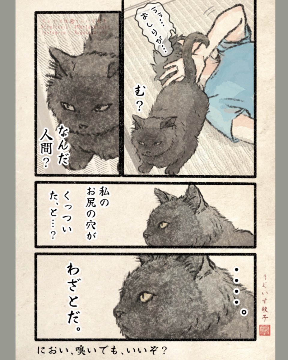 キジネコ様 (@Motidukineko) / Posts / X