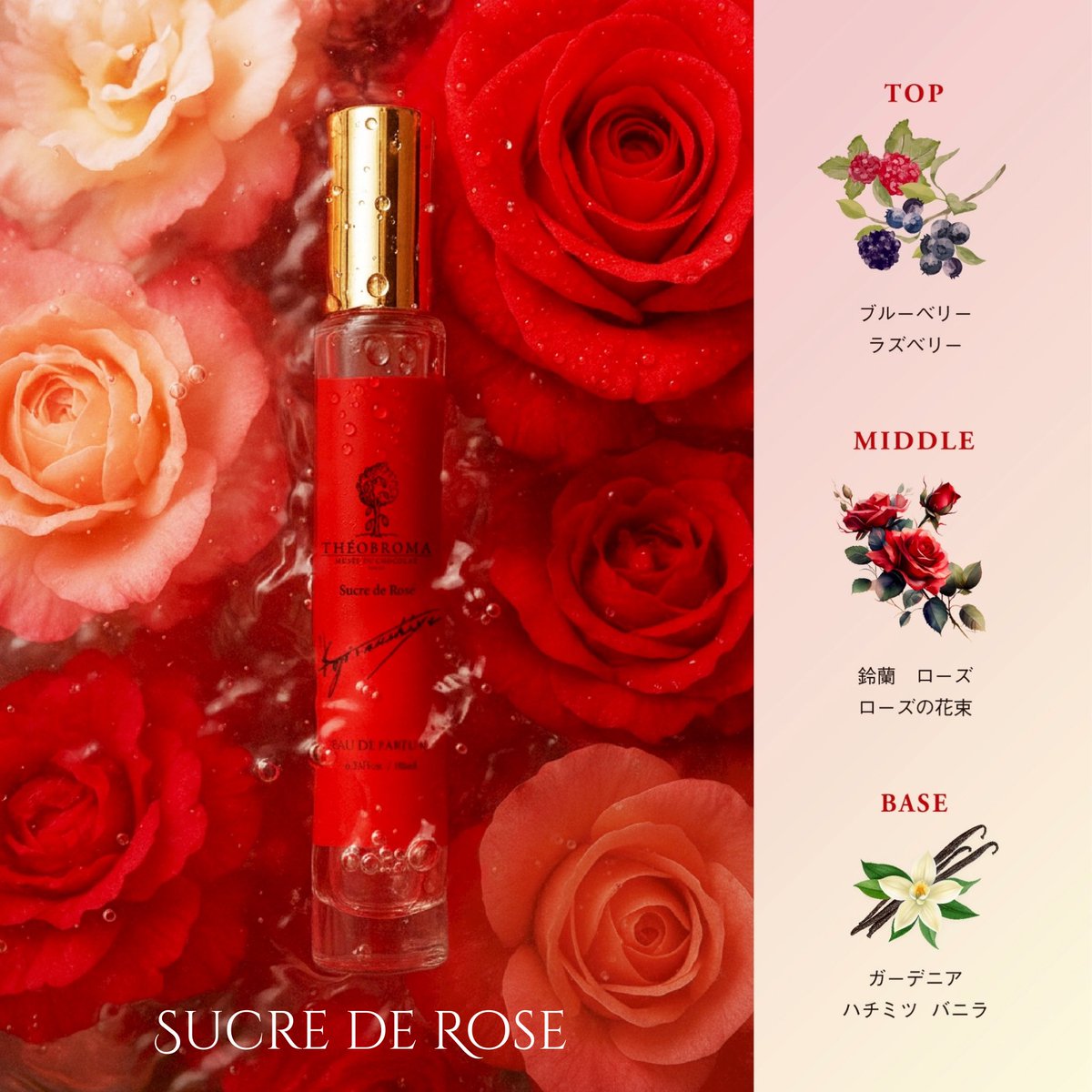 t84事務局代表🌈 on X