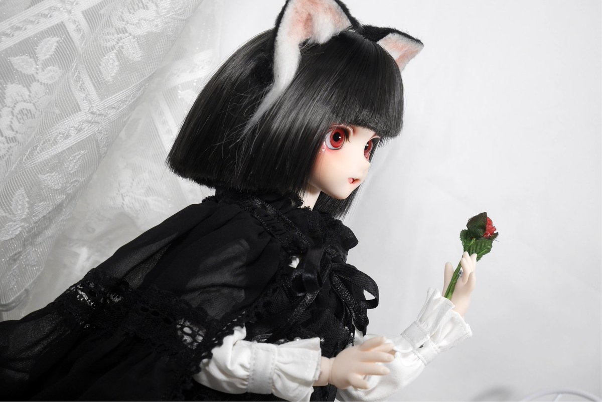 plamode𓃠【まるねこ】 (@plamode_sub) / Posts / X