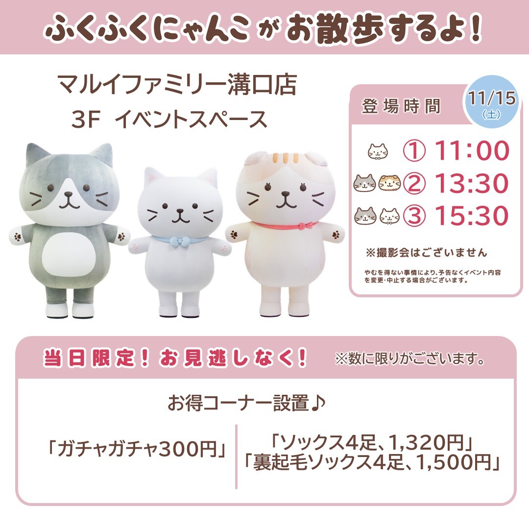 確認ページ♡にゃんこ にゃ〜ฅ^・ﻌ・^ฅ (@hatchinya173866) / Posts / X