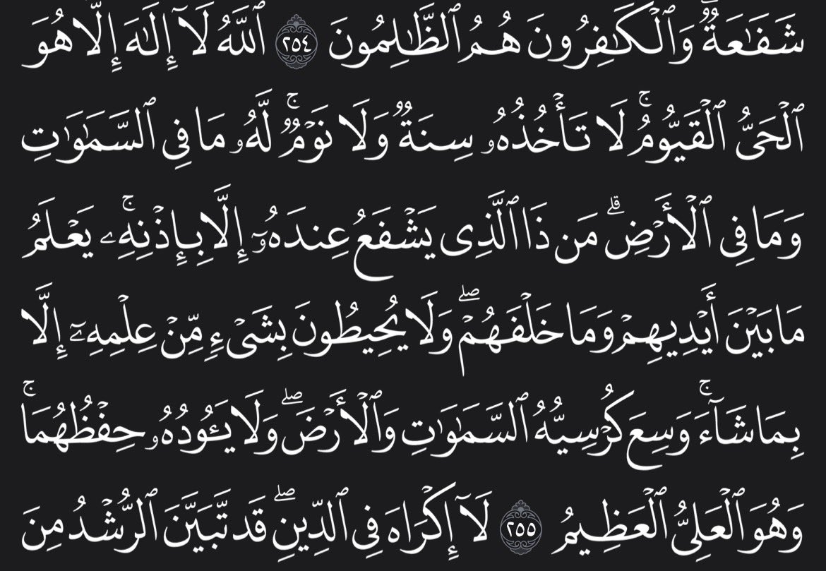 MJX | JAD tweet media