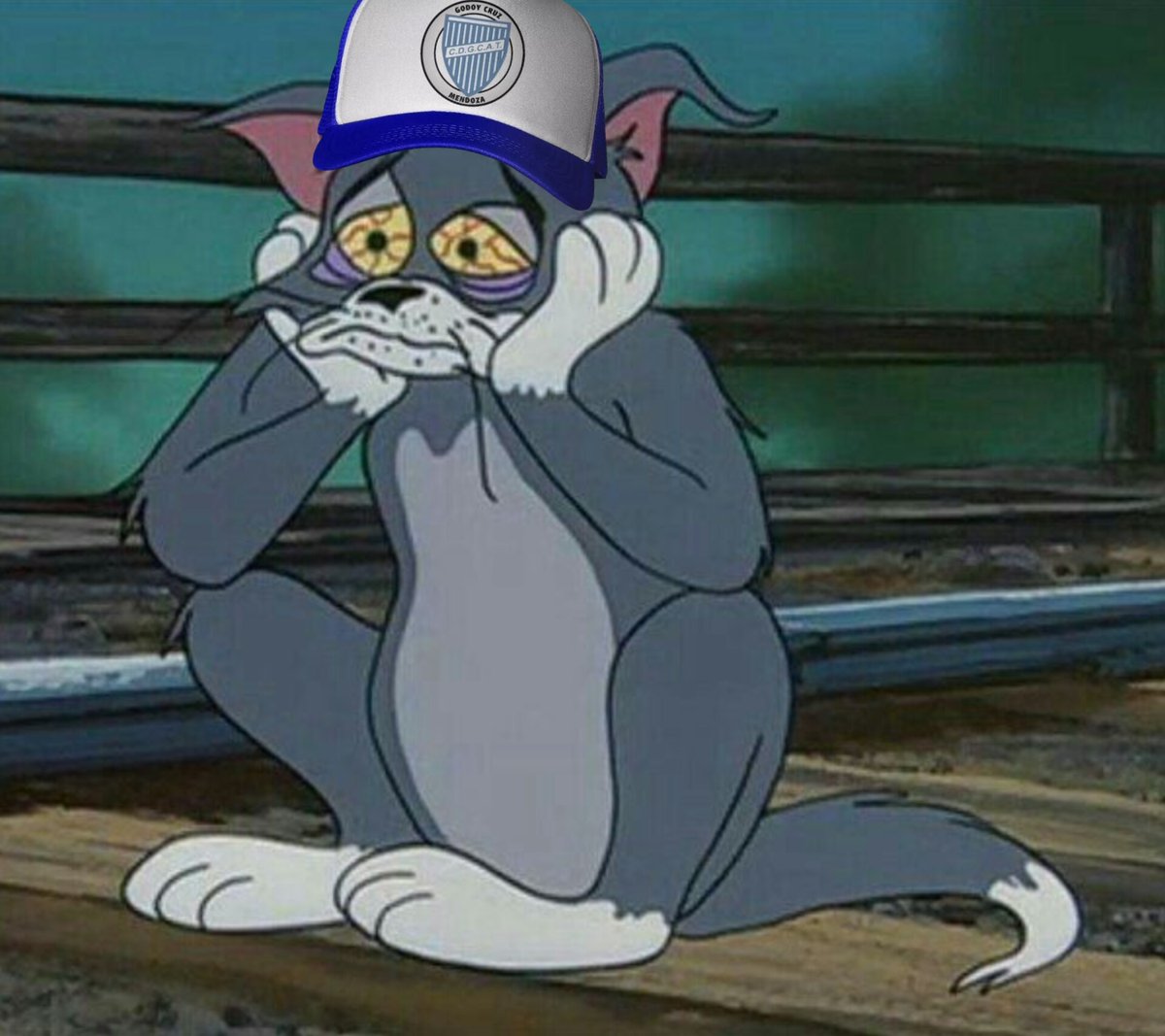 🟦⬜️ AZUL & BLANCO ⬜️🟦 (@redonditodemza) on Twitter photo 