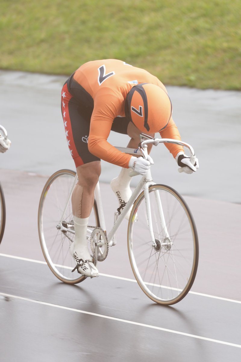 シーゲイル on X