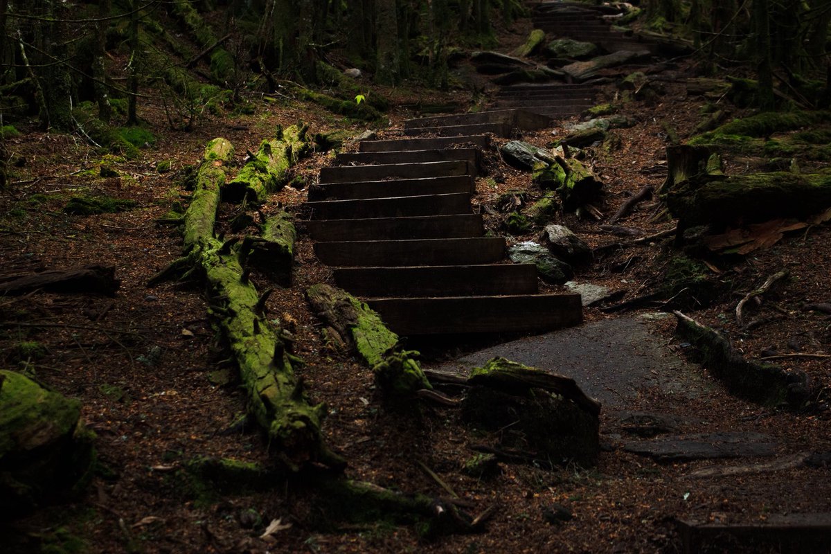 Mt Mitchell (6684ft)