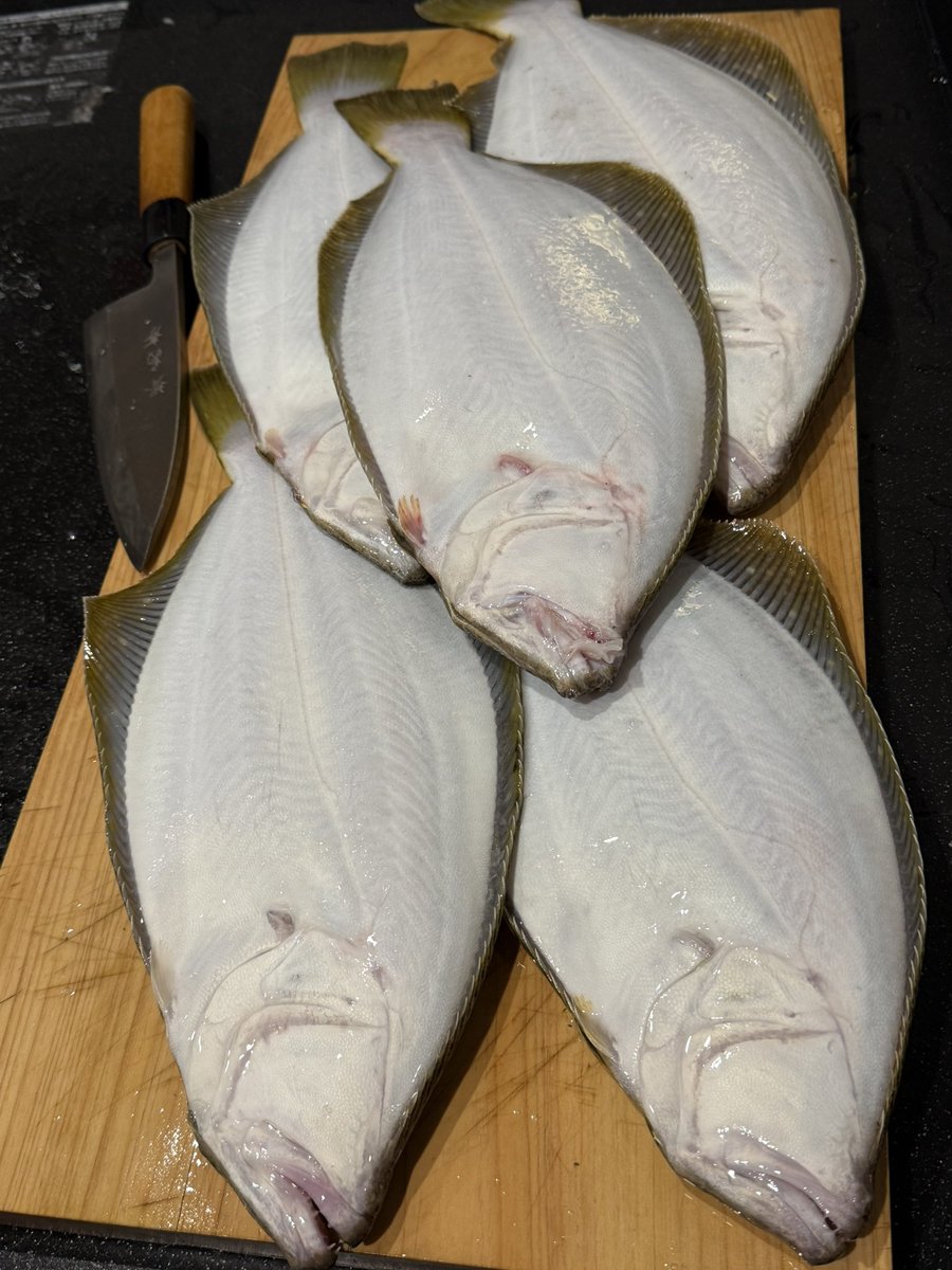 雪板2枚　140Spoonfish 120fish 雪板2枚 140Spoonfish 120fish 雪板2枚 140Spoonfish 120fish