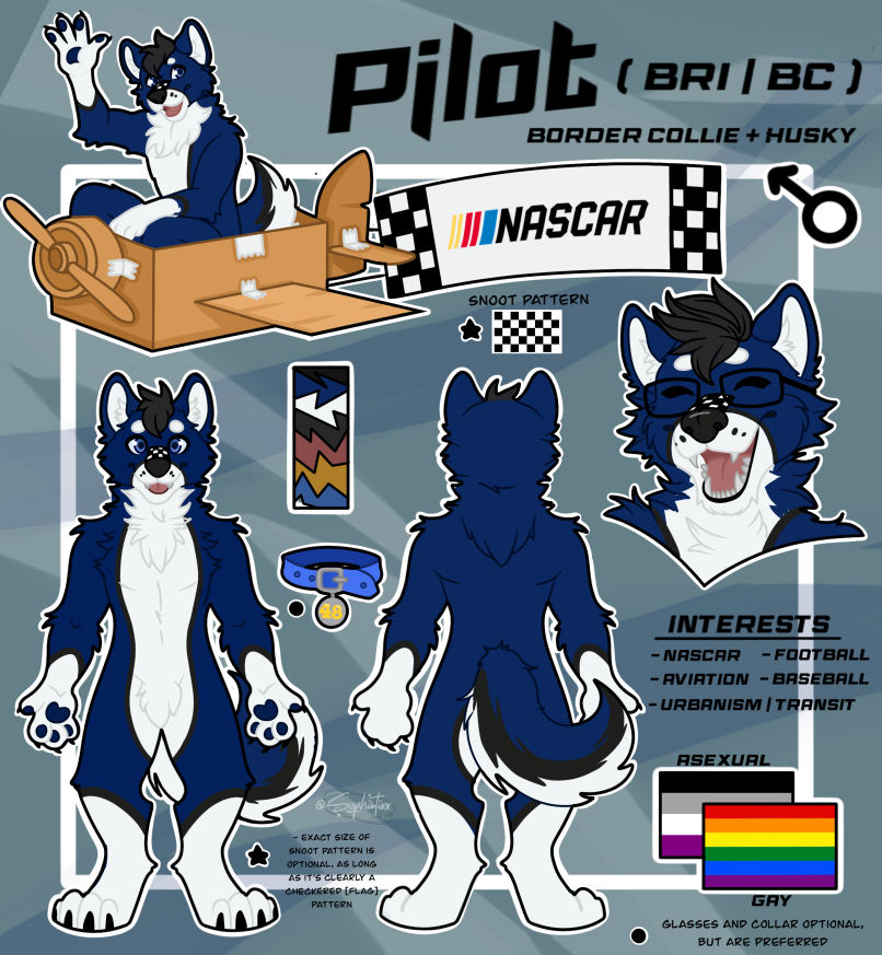 Pilot / Bri / BC tweet media