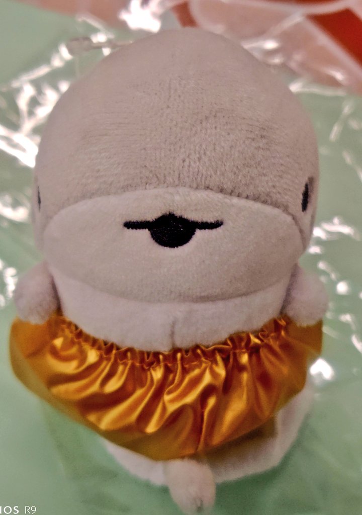 IDEAMASTER10's tweet image. どやっ！
…意外と着せ替えがたいへん。
…私が不器用なだけかな？…
#おでかけ子ザメ 
#ベビー子ザメちゃん