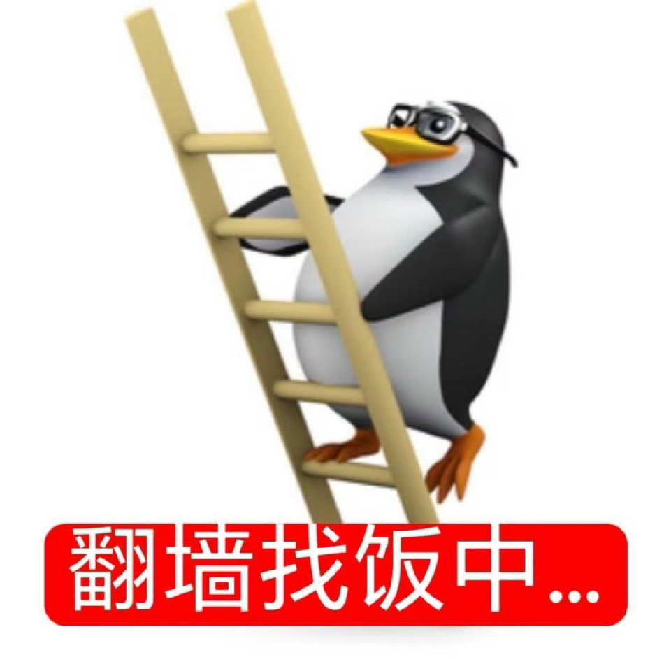 扶云弦 tweet media