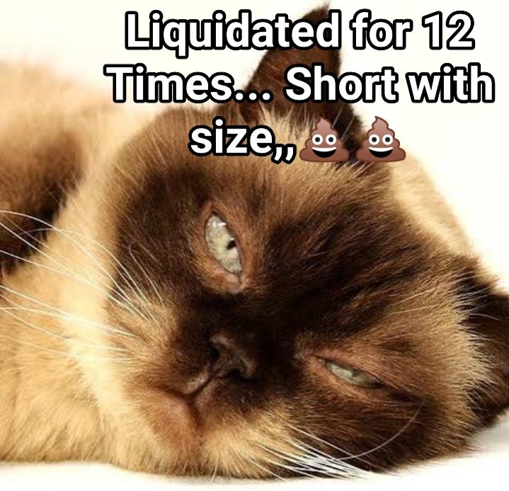 kittyrheum tweet media